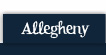 Allegheny River Clean-up